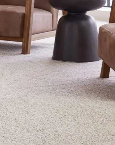 Animated carpet exploded view